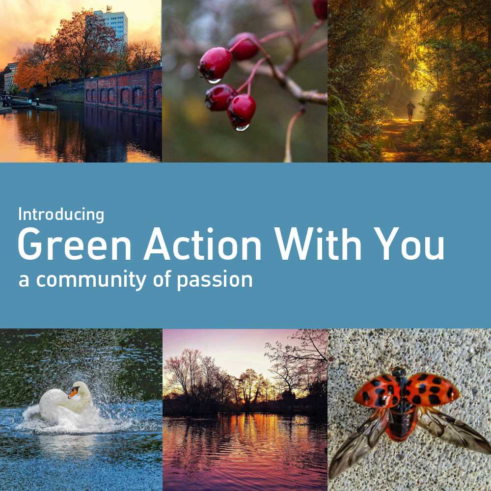 GreenActionWithYou - let us promote and support your initiative!